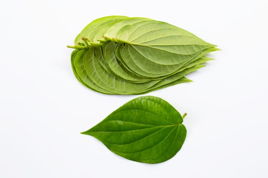 Green betel leaves, Fresh piper betle on white background.