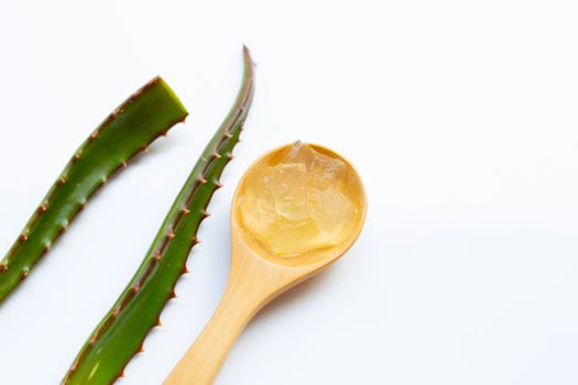 Aloe vera on white background.
