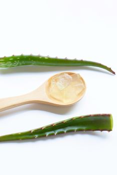 Aloe vera on white background.