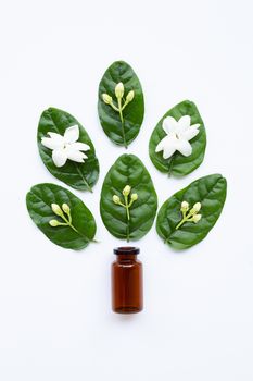 Bottle of essential oil with jasmine flower and leaves on white background.