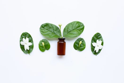 Bottle of essential oil with jasmine flower and leaves on white background.