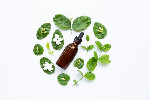 Bottle of essential oil with jasmine flower and leaves on white background.