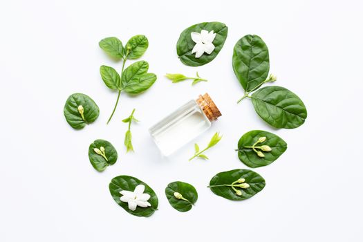 Bottle of essential oil with jasmine flower and leaves on white background.
