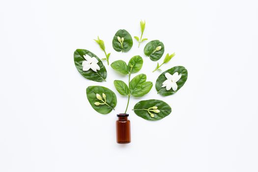 Bottle of essential oil with jasmine flower and leaves on white background.