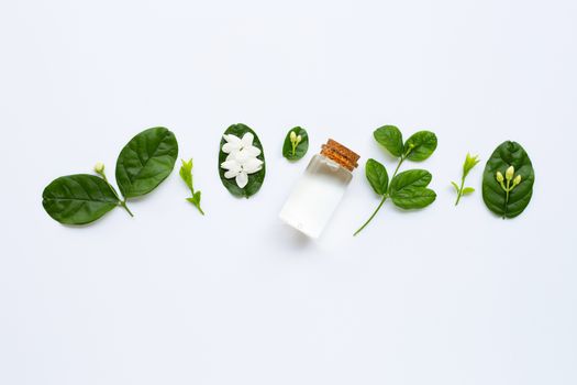 Bottle of essential oil with jasmine flower and leaves on white background.