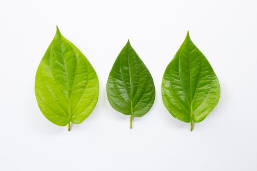 Green betel leaves, Fresh piper betle on white background.