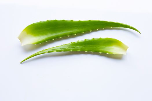 Aloe vera on white background.