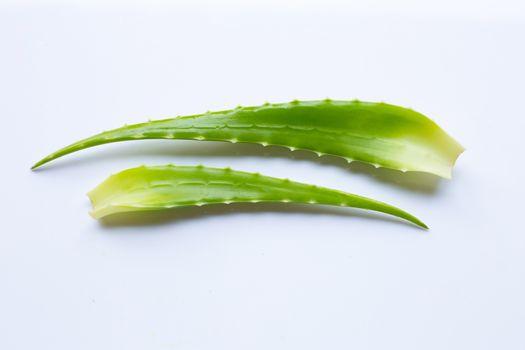 Aloe vera on white background.