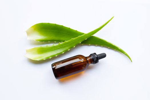 Aloe vera leaves with essential oil on white background.