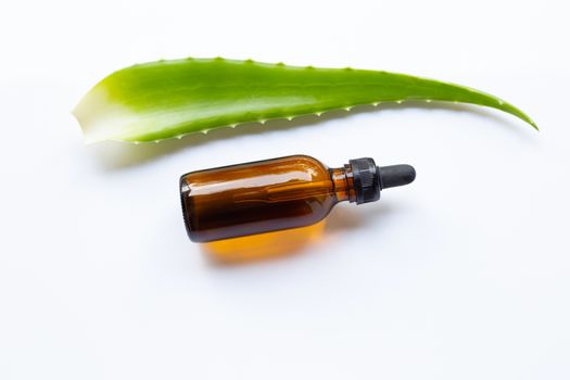 Aloe vera leaves with essential oil on white background.