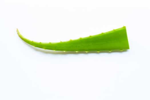 Aloe vera fresh leaf on white background.