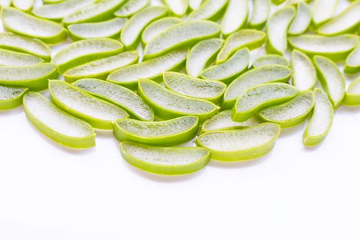 Aloe vera sliced on white background. Copy space