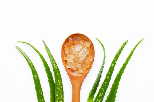 Aloe vera is a popular medicinal plant for health and beauty, on white background.