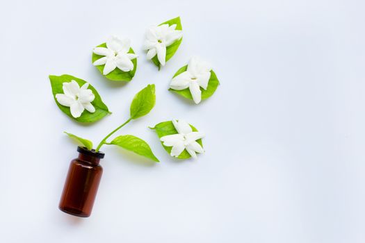 Bottle of essential oil with jasmine flower and leaves on white background.