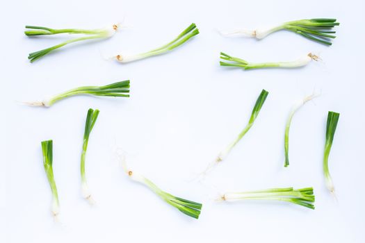 Green onions isolated on white background