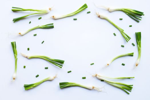 Frame of green onions isolated on white background