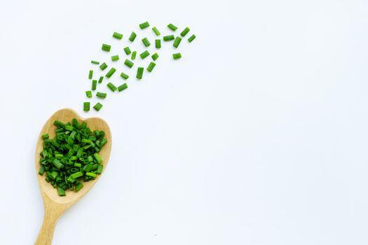 green onions isolated on white background