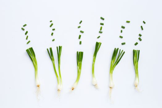 Green onions isolated on white background