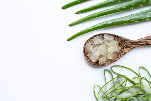 Aloe vera is a popular medicinal plant for health and beauty, on white background.