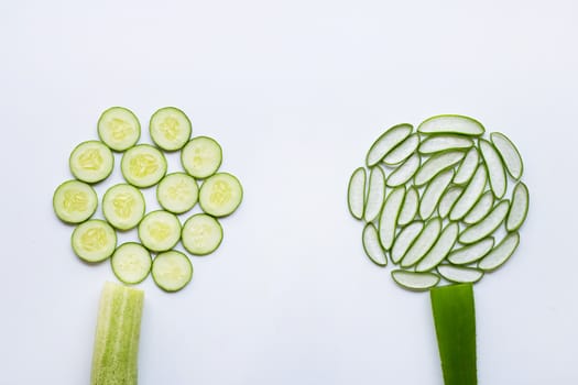 Good skin care and healthy with natural ingredients aloe vera and cucumbers isolated on white background.