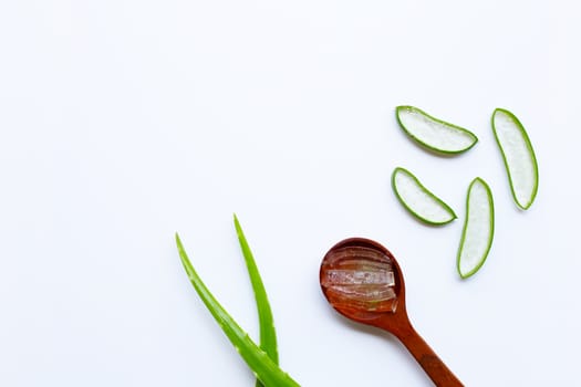 Aloe vera is a popular medicinal plant for health and beauty, on white background. Copy space
