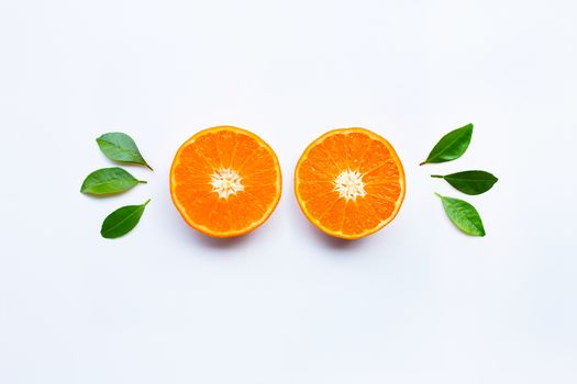 Fresh orange citrus fruits  on white background.