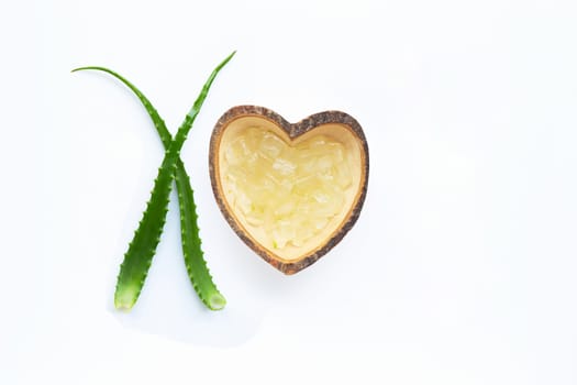 Aloe vera is a popular medicinal plant for health and beauty, on white background.