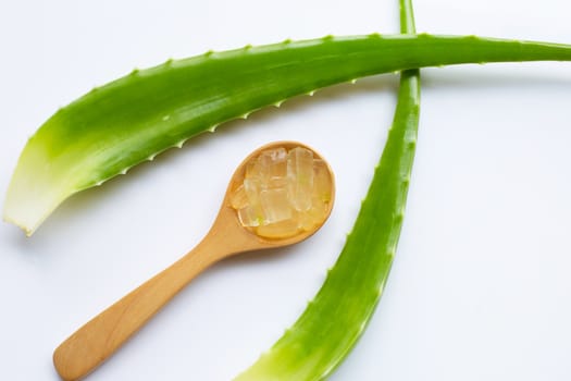 Aloe vera is a popular medicinal plant for health and beauty, on white background.