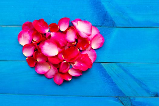 Rose petals heart shape on blue wooden background.