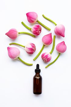 Lotus essential oil with lotus flowers on white background. Top view