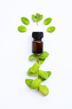 Essential oil with fresh apple mint leaves on white  background.