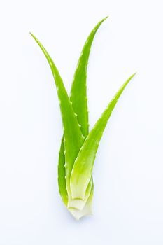 Aloe vera fresh leaves on white background.  