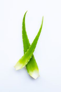 Aloe vera fresh leaves on white background.  Copy space