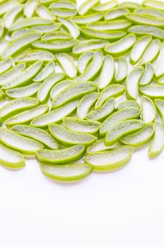 Aloe vera sliced on white background. Copy space