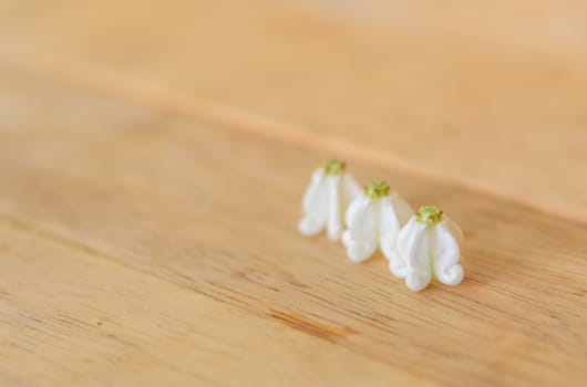 Calotropis giantea on wood plate