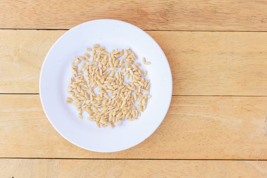 drying melon seed in dish