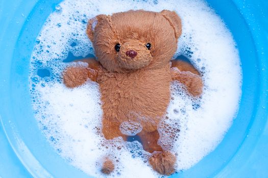 Soak  toy bear in laundry detergent water dissolution before washing.  Laundry concept, Top view
