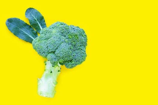 Fresh broccoli isolated on yellow background. Copy space