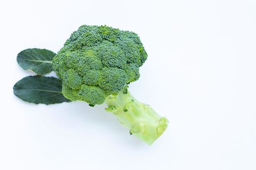 Fresh broccoli isolated on white background. Copy space