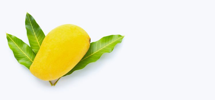 Tropical fruit, Mango  on white background. Copy space