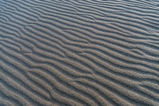 The rolling sands of Bruneau Dunes, Idaho.