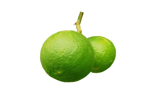 Green lemons on a white background.
