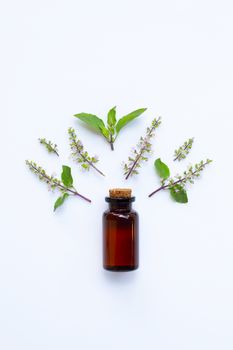 Holy Basil essential oil in a glass bottle with fresh holy basil leaves and flower