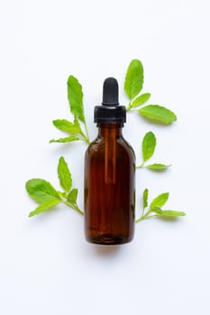Holy basil essential oil in a glass bottle with fresh holy basil  leaves on white background.