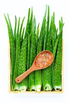 Aloe vera is a popular medicinal plant for health and beauty. Top view