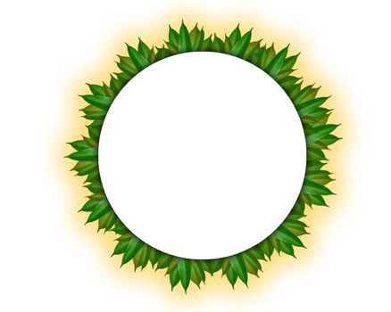 Circular leaf frame Made from green mango leaves Isolated from white background.
Natural concepts.