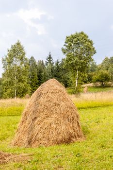 Haystack in the Ukrainian Carpathian Mountains