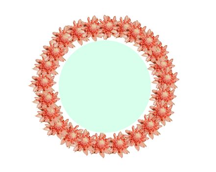 Round flower frame Made of pink flowers separated from a white background Suitable for adding text or images.
Natural concepts.
Pink concept.