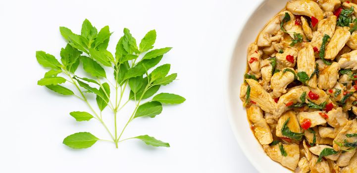 Holy basil leaves and dish of stir-fried chicken with holy basil on white background. 