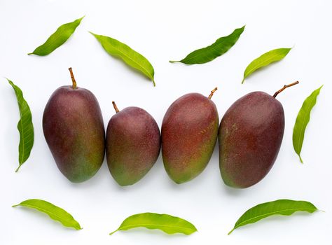 Mango, Tropical fruit with leaves on white background. Top view